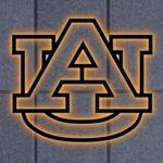 Auburn Tigers